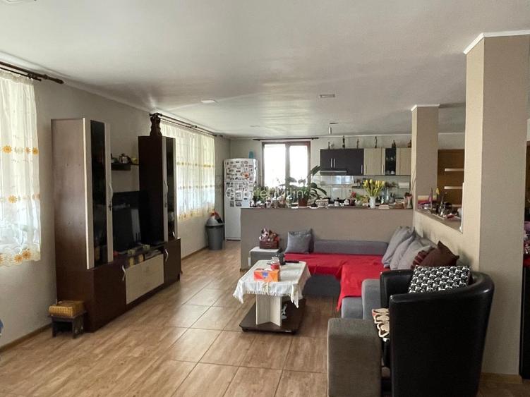 Casa de vanzare in localitatea Pustinis - 5