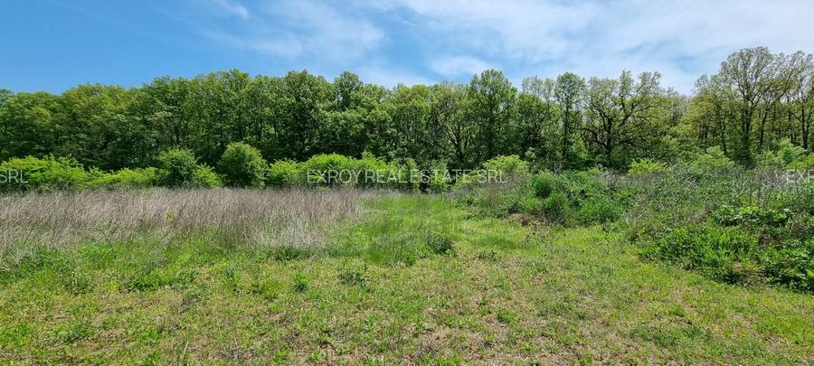 Crevedia terenuri parcelate Samurcasi - 5