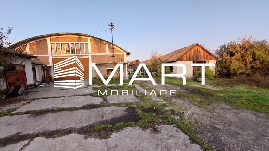 Teren intravilan 16000 mp + hale Calea Surii Mici - 3