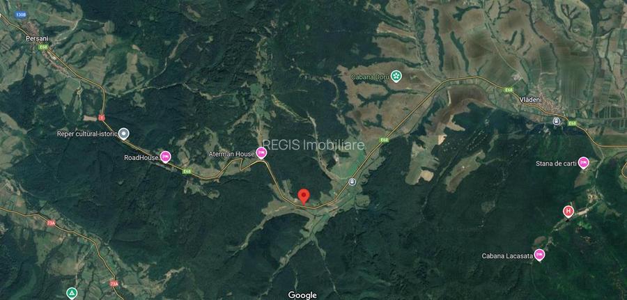 TEREN PRETABIL COMERCIAL, 5000 mp DN1 - 4