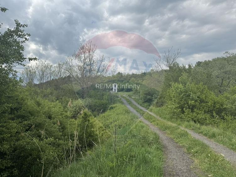 Proprietate OFF-GRID 5,76 Ha. Casa tradiționala lemn. Limită Cluj - 18