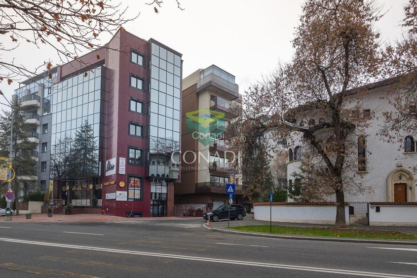 Penthhouse Primaverii | Vedere panoramica | Garaj | Vinoteca - 57