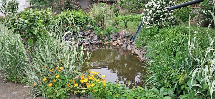 Lumina-teren 4297mp cu deschidere la DN - 2