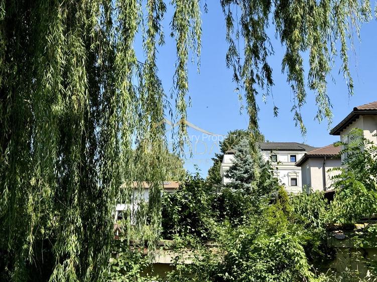 Vila cu 13 camere *4000mp teren* / Piscina / Snagov - 53