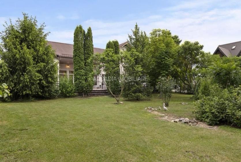 Vanzare vila individuala 8 camere | Curte 2360 mp | Corbeanca - Ostratu - 11