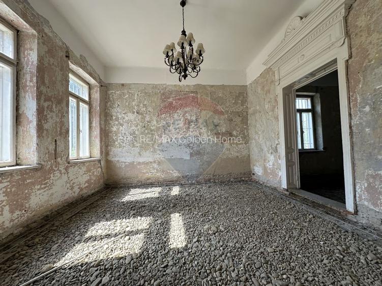 Monument Istoric Teatru langa Liceul Cuza - 7