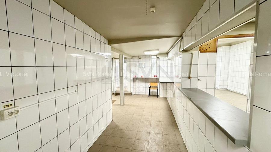 REV2004582 Spatiu pentru activitati comerciale I Laborator - Spatiu productie I - 12