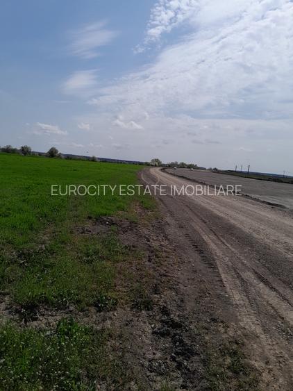 Buftea, teren industrial 16.635 mp, acces paralel cu noua centura - 4