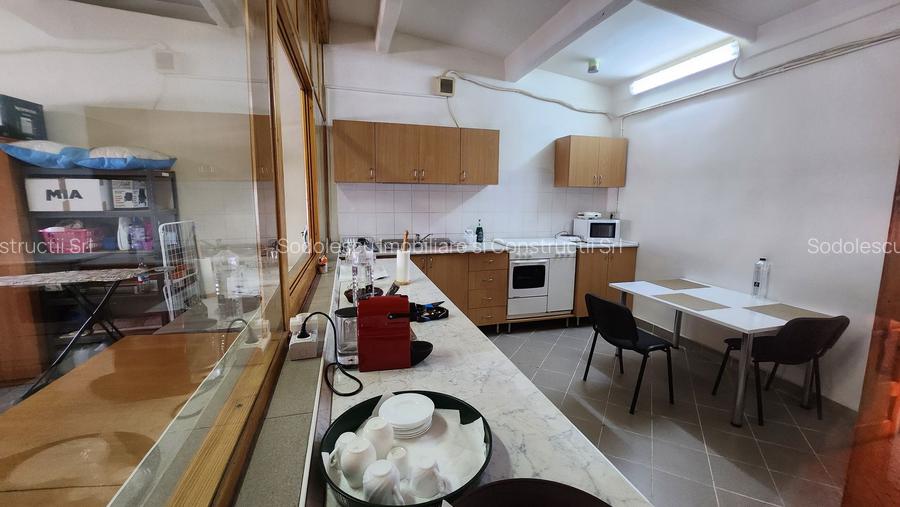 Spatiu industrial productie/ depozitare, Timiș - 22