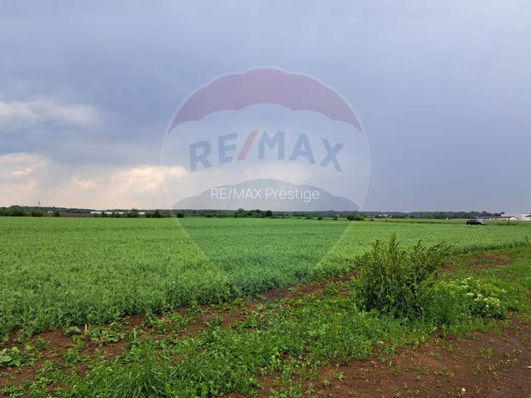 Teren Ciolpani 15.000 mp oportunitate posibilitate lotizare 5000 mp - 7