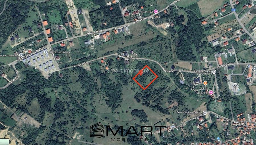 Teren intravilan 5000mp cu PUZ aprobat, CU si utilitati in Cisnadioara - 2