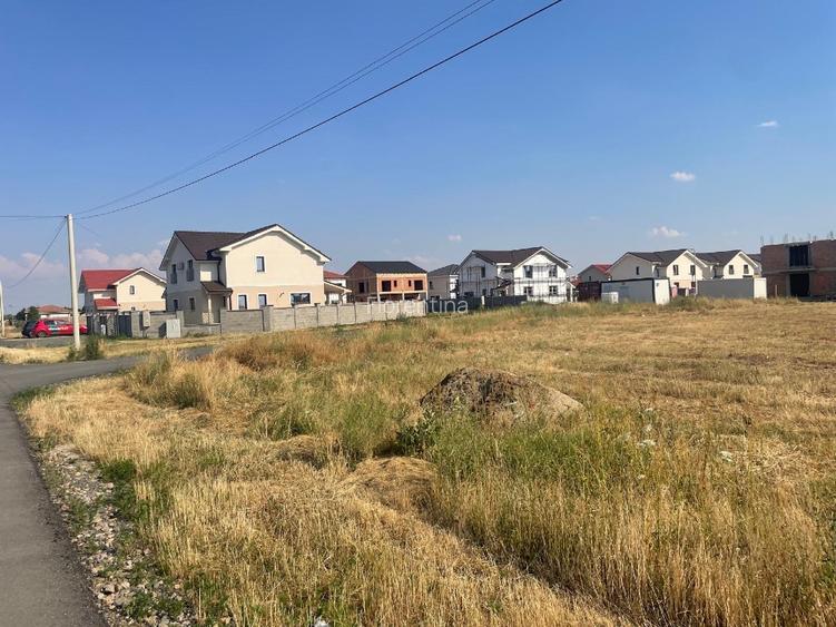 Teren Mosnita Nouă-Urseni - 2