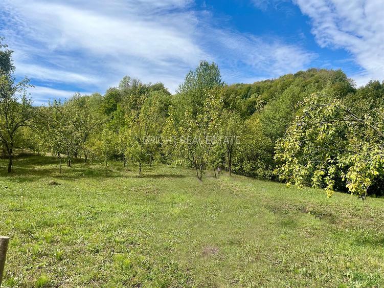 Teren 5.600 mp – Liniște, Natură și Verdeață | 10€/mp - Comision 0% - 2