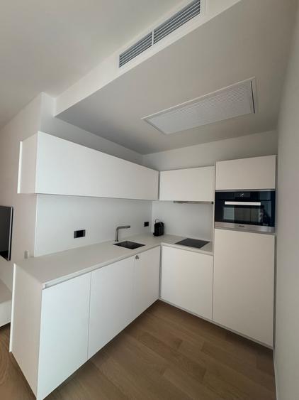 Apartament 2 camere, complet mobilat cu piese de designer —  One Lake Club