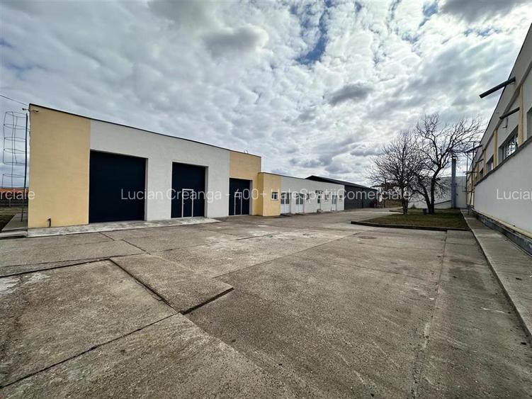 Hale/ spatii comerciale Pascani, str. Vatra, de la 300mp la 5000mp - 3