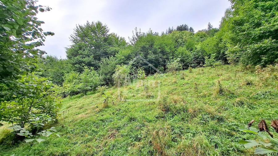Teren Intravilan Schei Priveliste I Oportunitate Investitie - 7