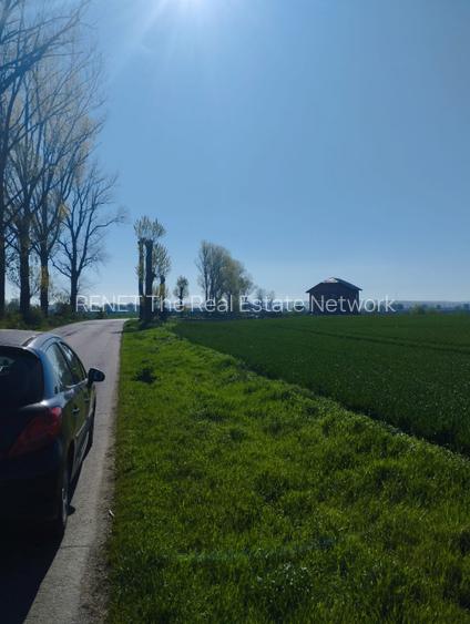 Vand teren intravilan 4000MP cu  dechidere la Delta Neajlovului, Comana GR - 7