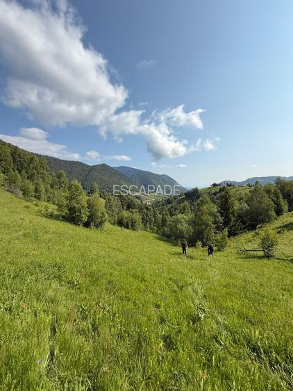 Teren superb intravilan  Pestera- Brasov, 11.908 mp - 10