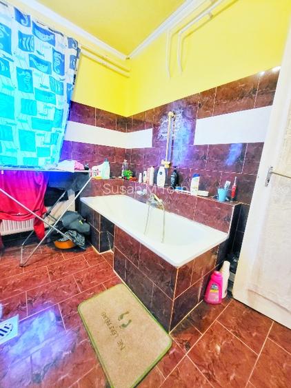 Domeniu premium aproape de granița româno-ungară –în Battonya - 4