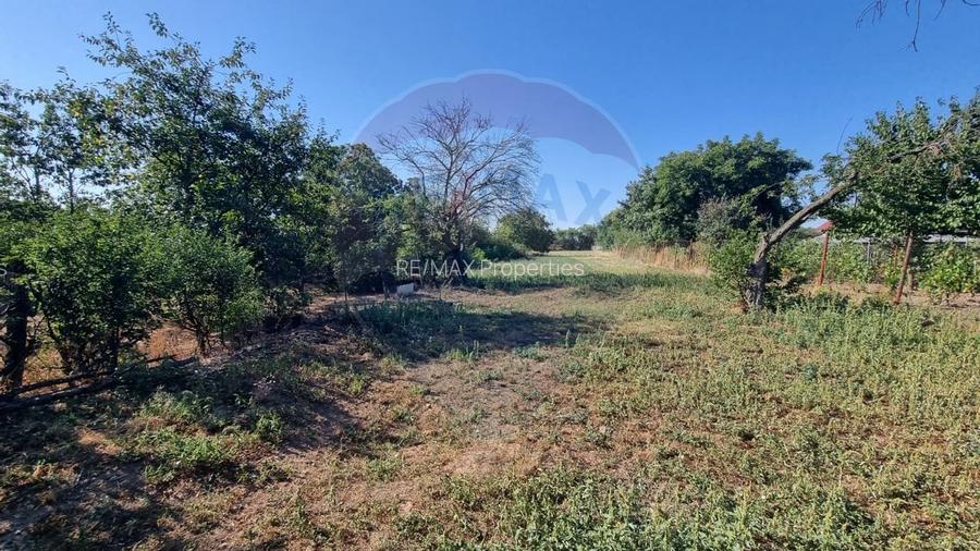 Teren intravilan de inchiriat  - 3.600mp Șoseaua Unirii – Balotești - 12