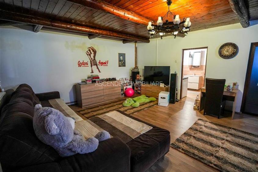 Ferma+Anexe specifice+ Constructie rezidentiala+222.000 mp domeniu - 11