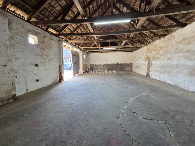 Dudestii Noi, Hala, Disponibila imediat - 9