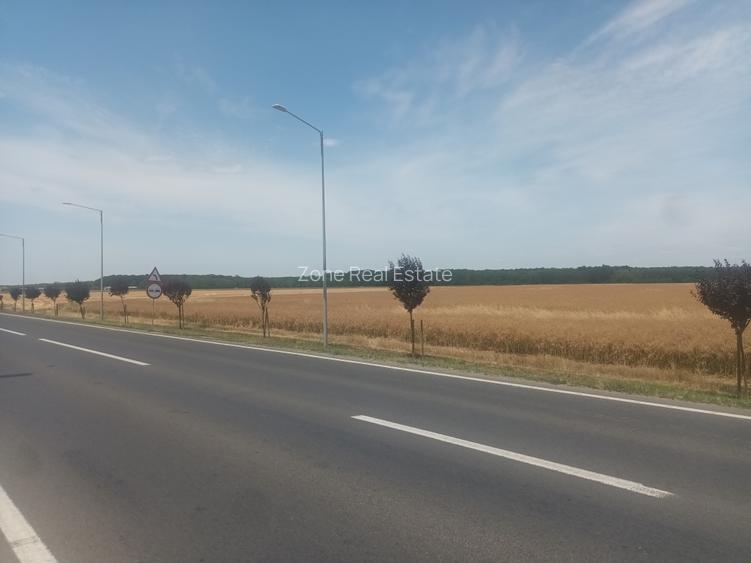 Teren Vanzare Intravilan Branesti - Investitie Zona Industriala Vis a Vis Makita - 19