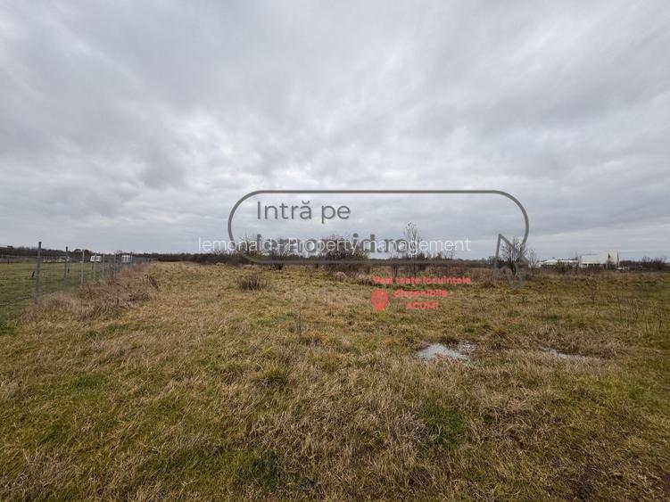 Teren Șag - intravilan agricol | 3.200 mp - 3