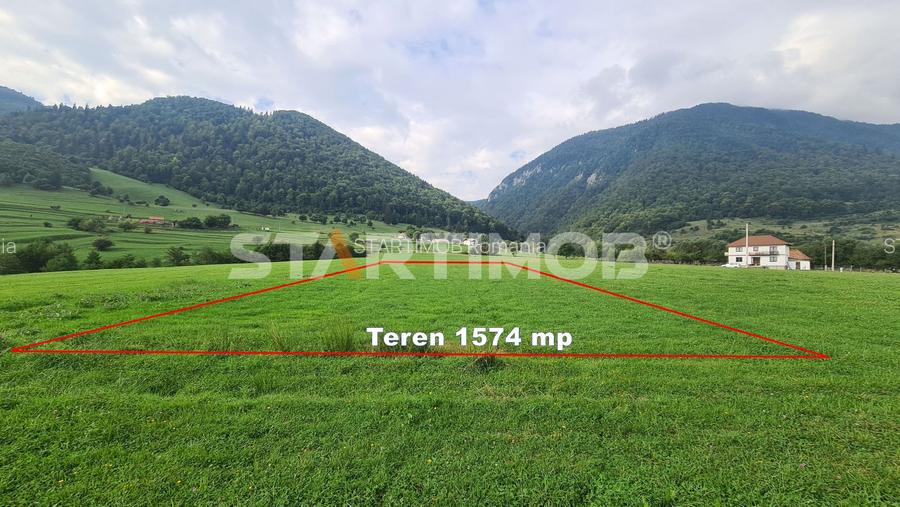 Teren intravilan Zarnesti - 4