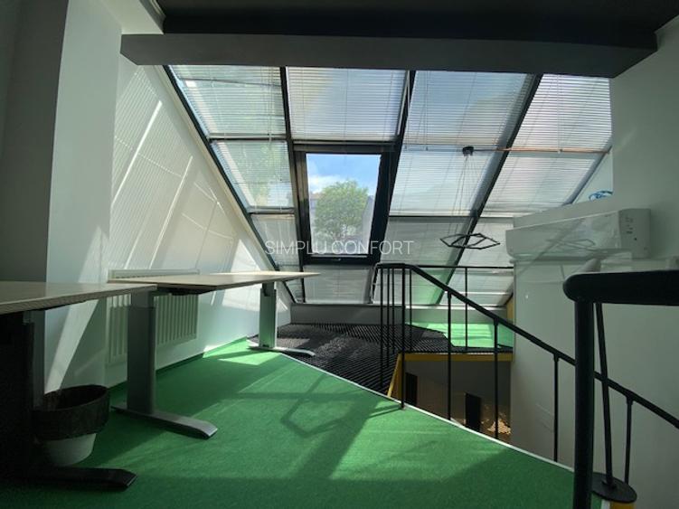 Cismigiu-Mircea Vulcanescu - 8