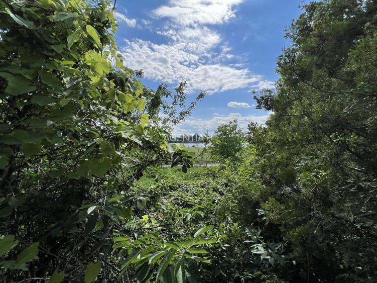 Casa-langa studiourile Buftea, 2 constructii, curte cu pomi, 2300mp, langa lac - 26