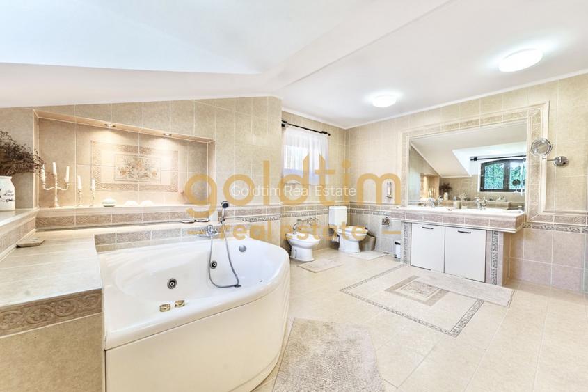 VILA IMPRESIONANTA/LUX/CURTE/GRADINA/PISCINA/GARAJ/IANCU NICOLAE - 17