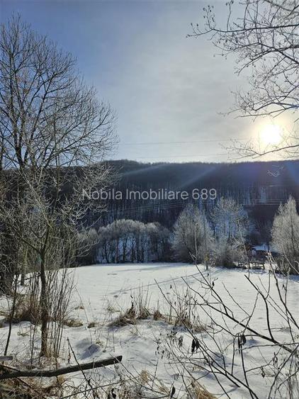 TEREN INTRAVILAN 3200 MP DE VANZARE SLANIC M9LDOVA - 5