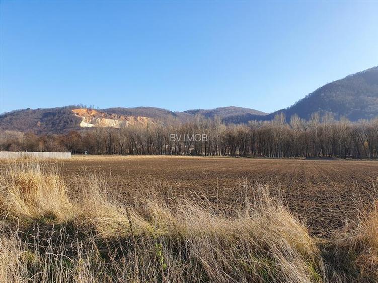 Vanzare Teren intravilan Str. Cucului, zona Bartolomeu 18600 mp - 10