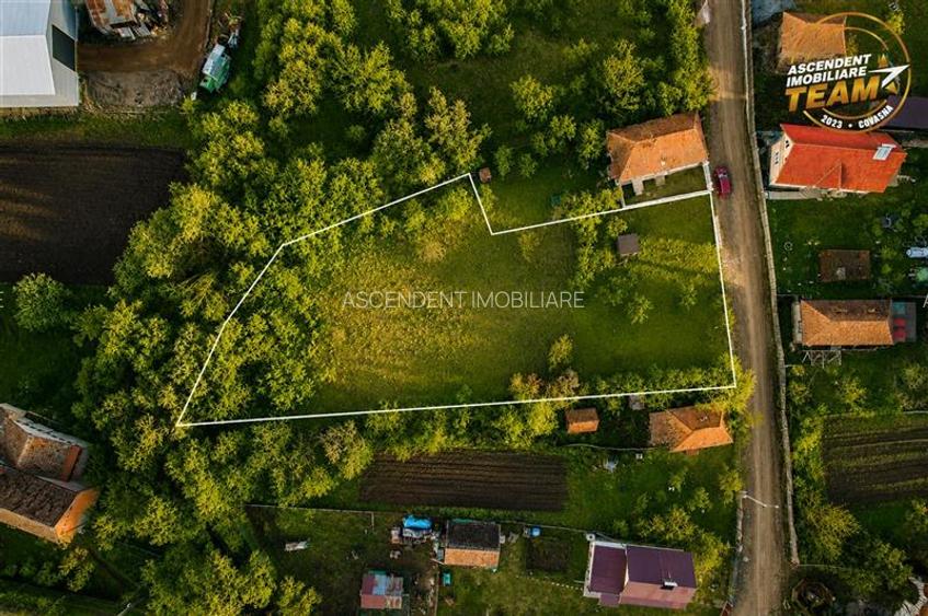 Teren cu proiect aprobat si utilitati:start ideal pentru casa ta in Aninoasa - 4