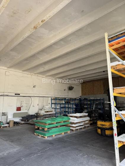 Hala Industriala, zona Someseni - 3