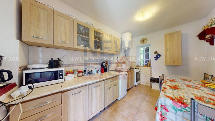 CONACUL GEORGE STEPHANESCU - 15