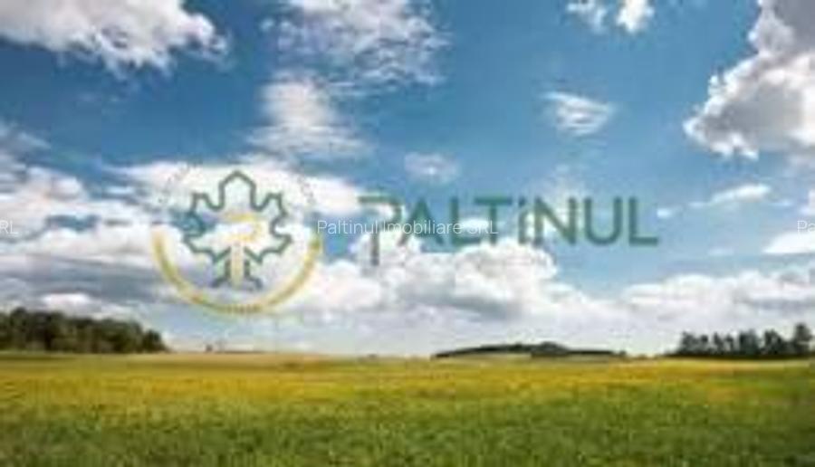 Teren de vânzare – Poplaca, Sibiu - 3