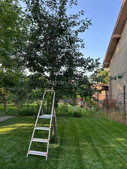 Proprietar vând teren 883 mp, front 17,5 ml, cu casă locuibilă, Mehala - 9