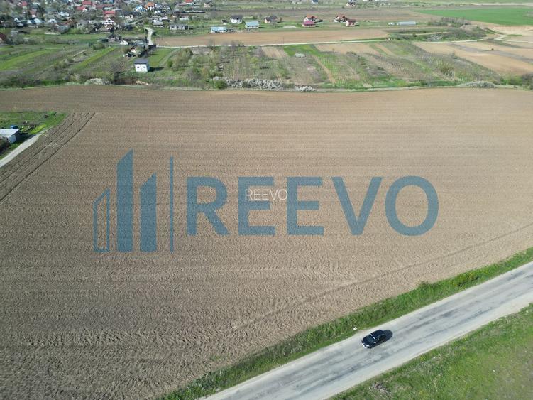 Teren de vânzare, Com. Nicolae Bălcescu, Jud. Bacău - 10