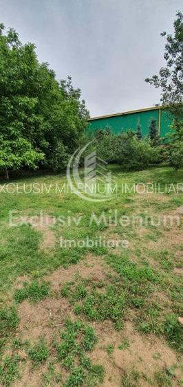 Casa la Padurea Rosu 650 Mp + Teren ideal Activitati Comerciale/Birouri - 3