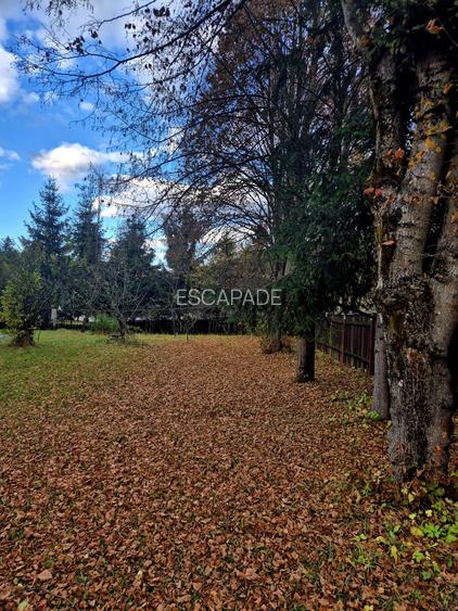 Casa de vacanta Timisu de Sus/Brasov/Oportunitate investitie - 19