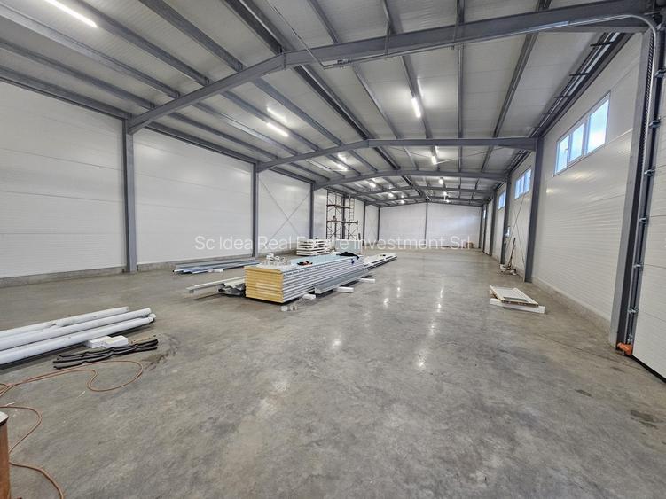 Hale noi depozitare Lugoj diferite dimensiuni 115 mp - 530 mp utili!! - 6