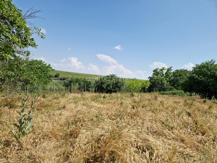 Teren cu deschidere catre lac - 40 km de Bucuresti - 6