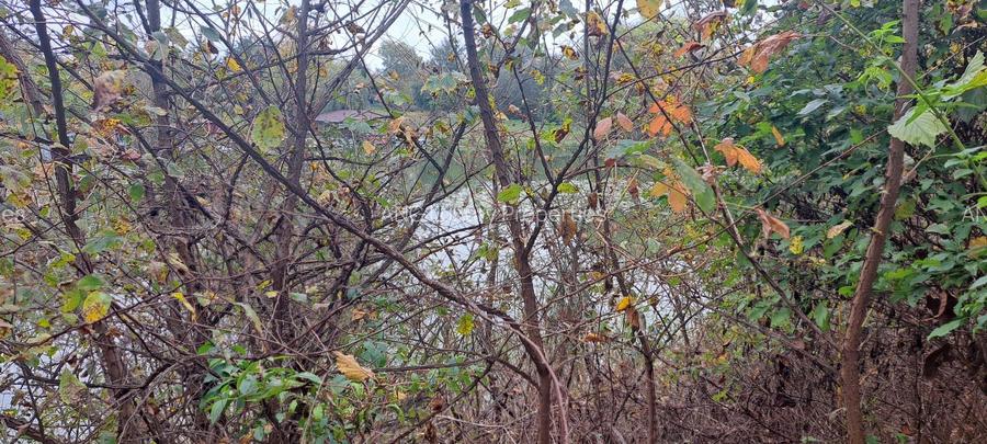 OAZA DE LINISTE SI RAFINAMENT LA MALUL LACULUI - 5