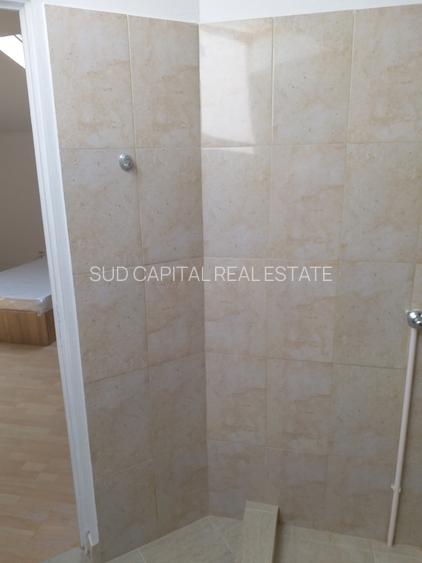 Vilă de  la Podul Grant – 250 mp + 100 mp curte - 28