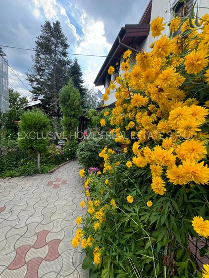 Vanzare vila lacul Baneasa - 22