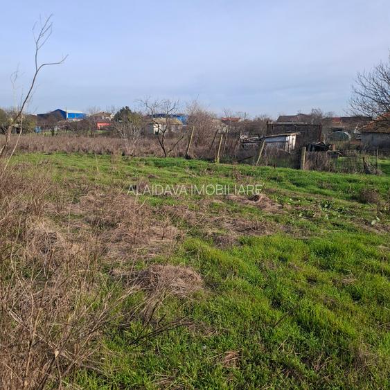 Poiana-teren 3000mp,deschidere 38m - 3