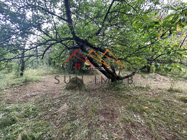 Teren intravilan, 1900 m2, zona Campinita, Campina, Prahova - 15