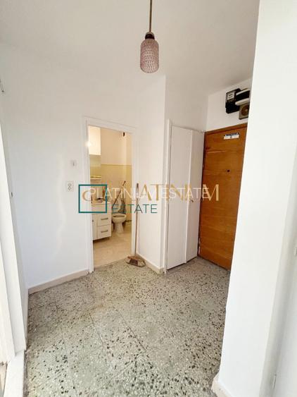 P4801 Apartament cu 2 camere DECOMANDAT, zona Dambovita - 8